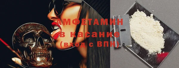 прущие грибы Богданович