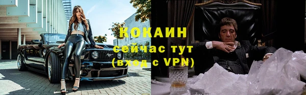 крисы Богородицк