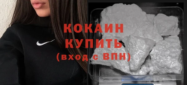 прущие грибы Богданович