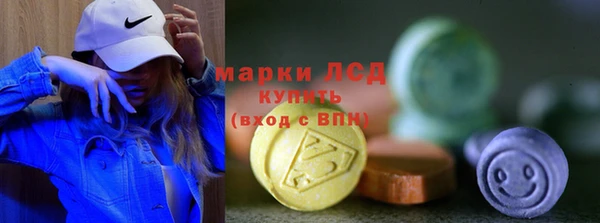 прущие грибы Богданович