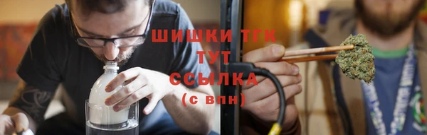 крисы Богородицк