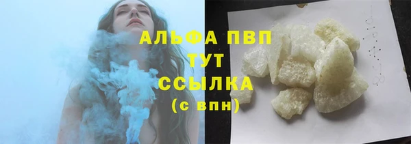 прущие грибы Богданович