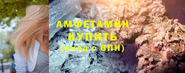 крисы Богородицк