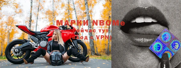 крисы Богородицк