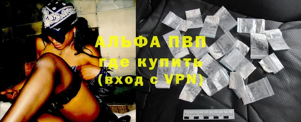 крисы Богородицк