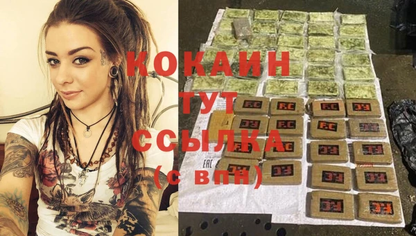 прущие грибы Богданович