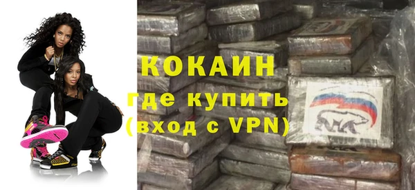 прущие грибы Богданович