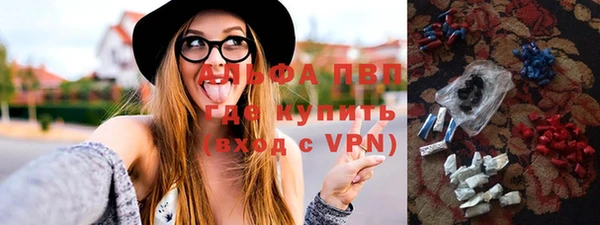 крисы Богородицк