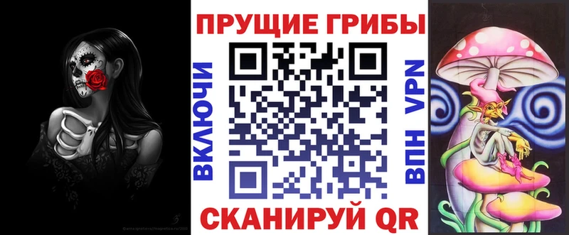 Купить закладки  Гуково  Псилоцибиновые грибы прущие грибы 